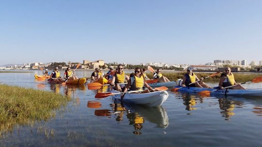 Tour guiado en kayak por la Ría Formosa desde Faro