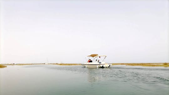 Passeio de barco solar ecológico no Algarve na Ria Formosa de Faro