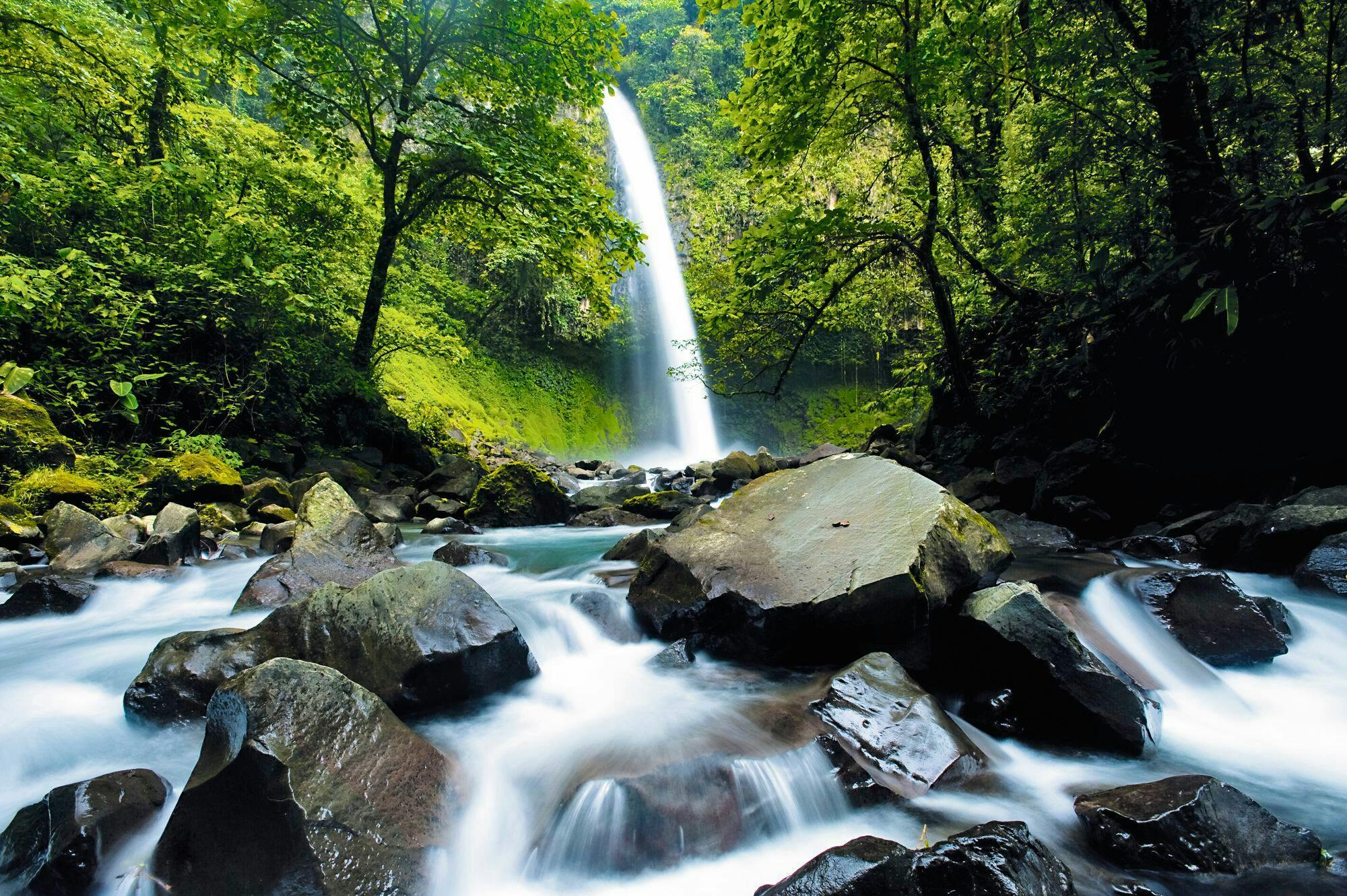 Tenorio Volcano National Park Hiking Tour with Sloth Encounter