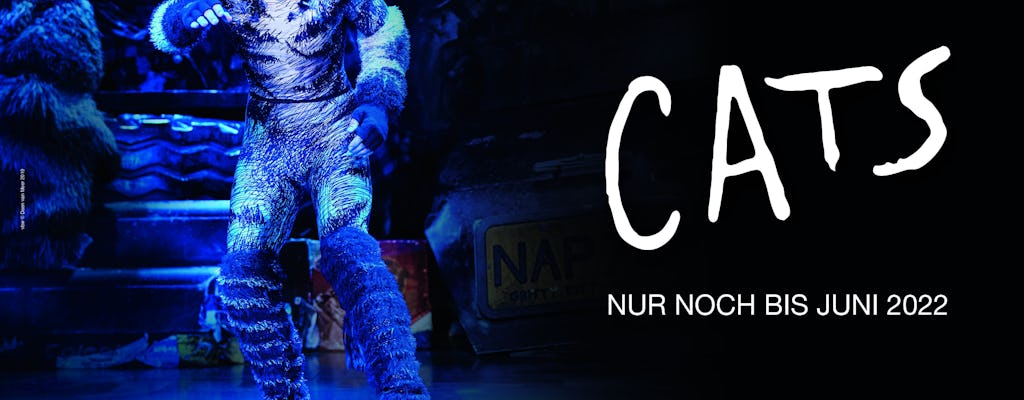 Tickets for the musical Cats in Vienna