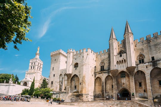 Palais des Papes Entrance Tickets with Histopad and Access to the Gardens