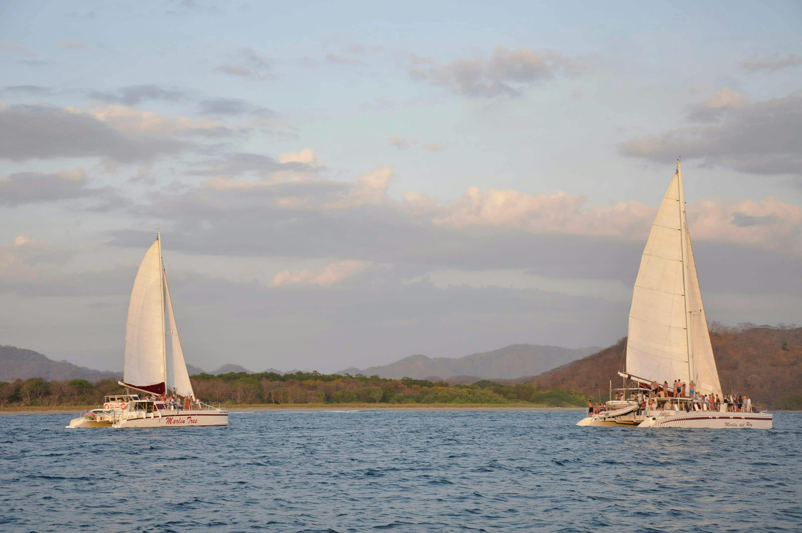 Pura Vida Sunset Cruise