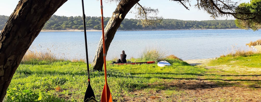 Expérience privée de stand-up paddle à Albufeira au départ de Lisbonne