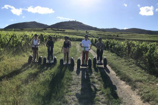 Pleasure Segway™ tour from Strasbourg