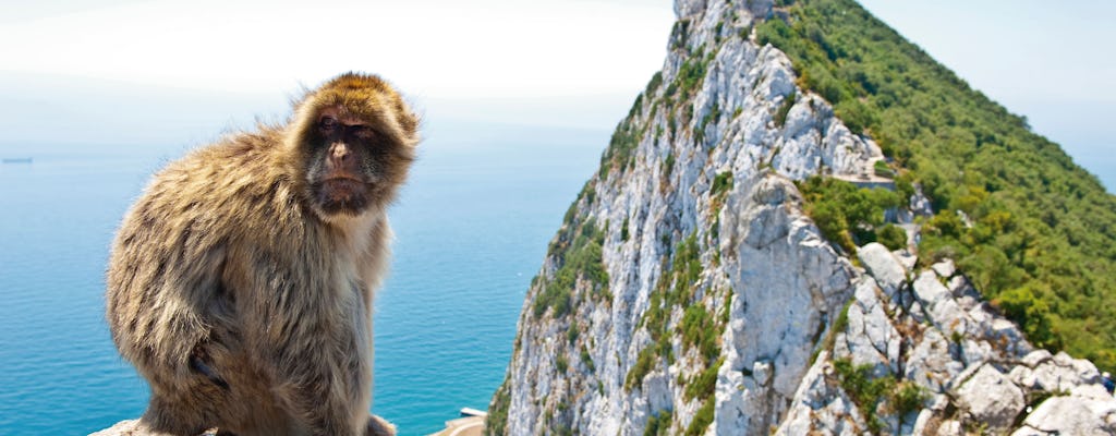 Rock of Gibraltar Tour with Dolphin Watching Cruise