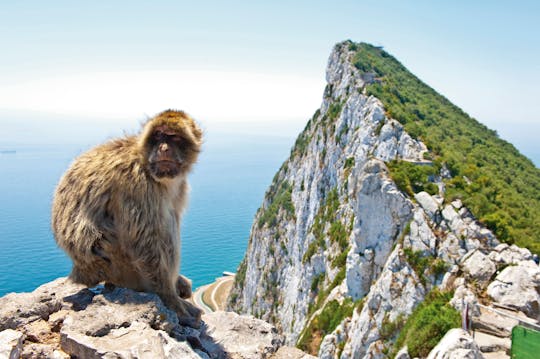 Rock of Gibraltar Tour with Dolphin Watching Cruise