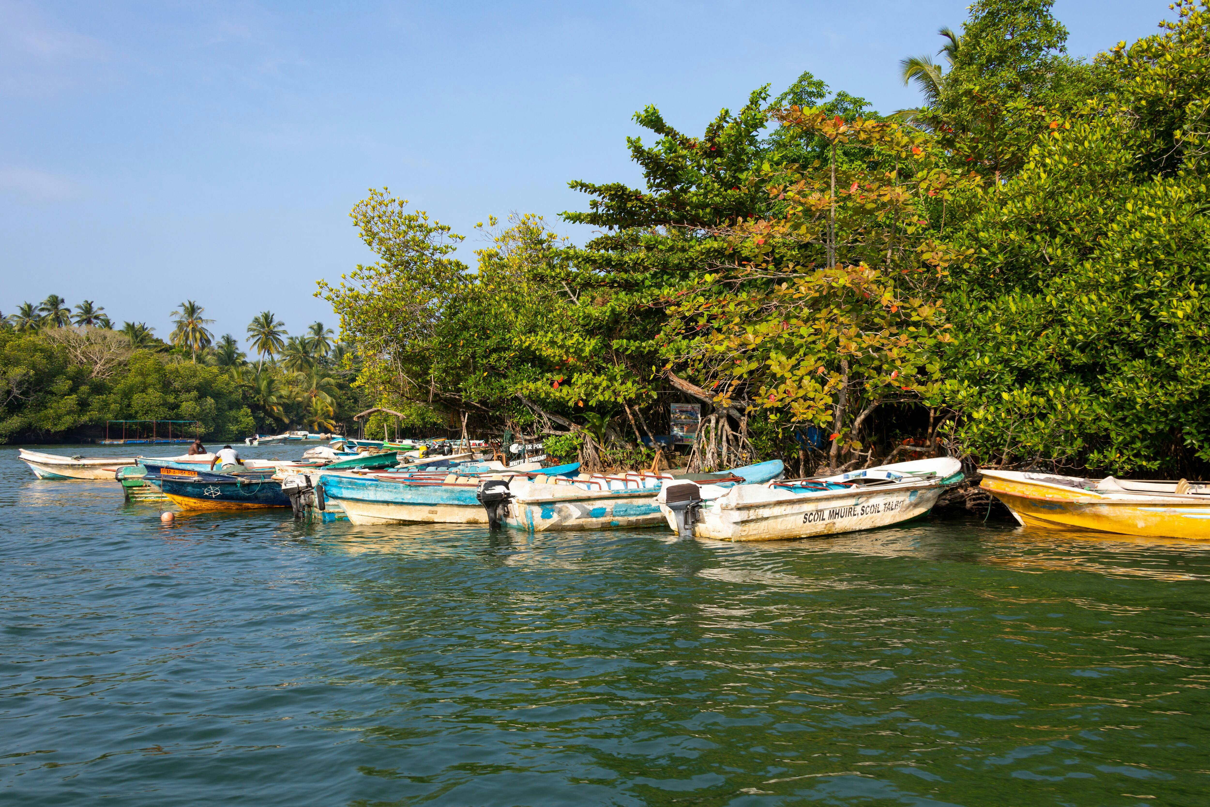 Madu River Boat Ride and Galle City tour