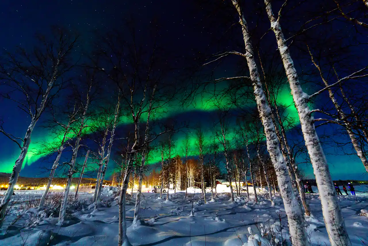 Northern lights tour with local expert guide from Reykjavik | TUI Musement