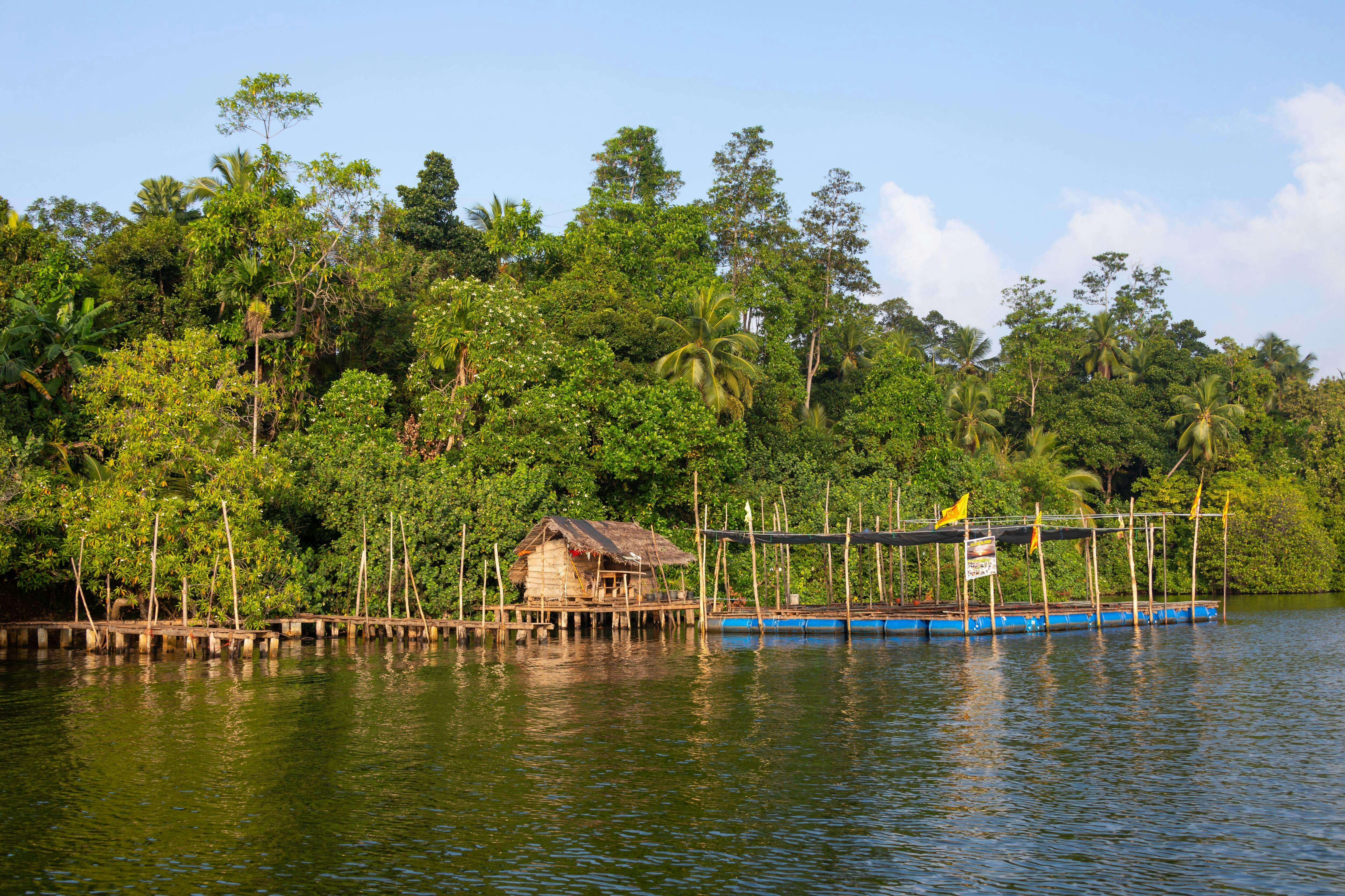 Madu River Boat Ride and Galle City tour