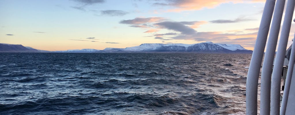 Tour TUI Reykjavik per l'osservazione delle balene