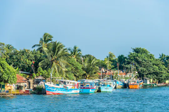 Negombo Dutch Canal Bootsfahrt