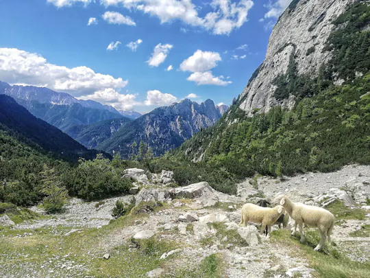 Julian Alps Tour
