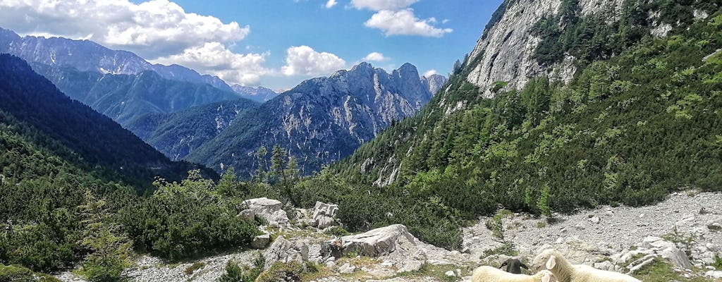 Julian Alps Tour