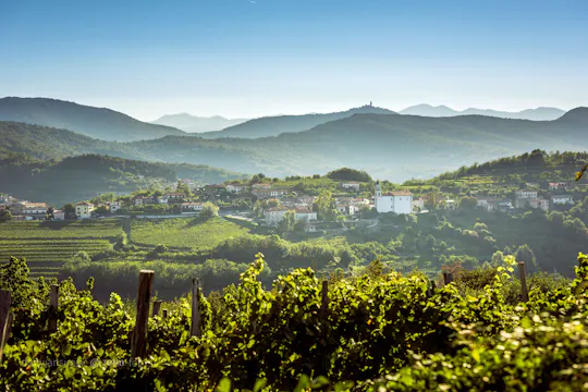 Taste of Slovenia Tour