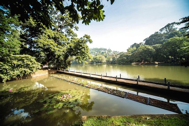 Negombo Dutch Canal Boat Cruise