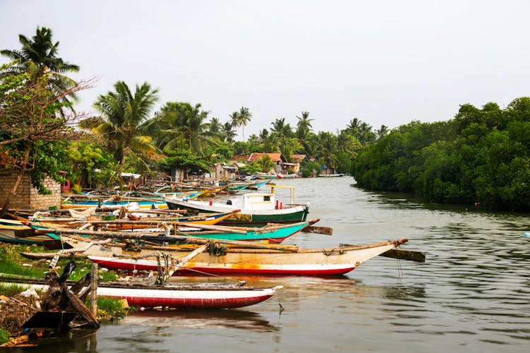 Negombo Dutch Canal Boat Cruise