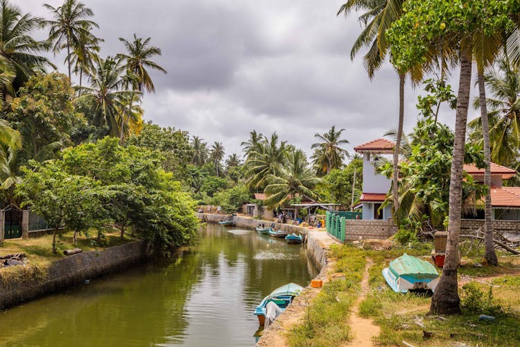 Negombo Dutch Canal Boat Cruise