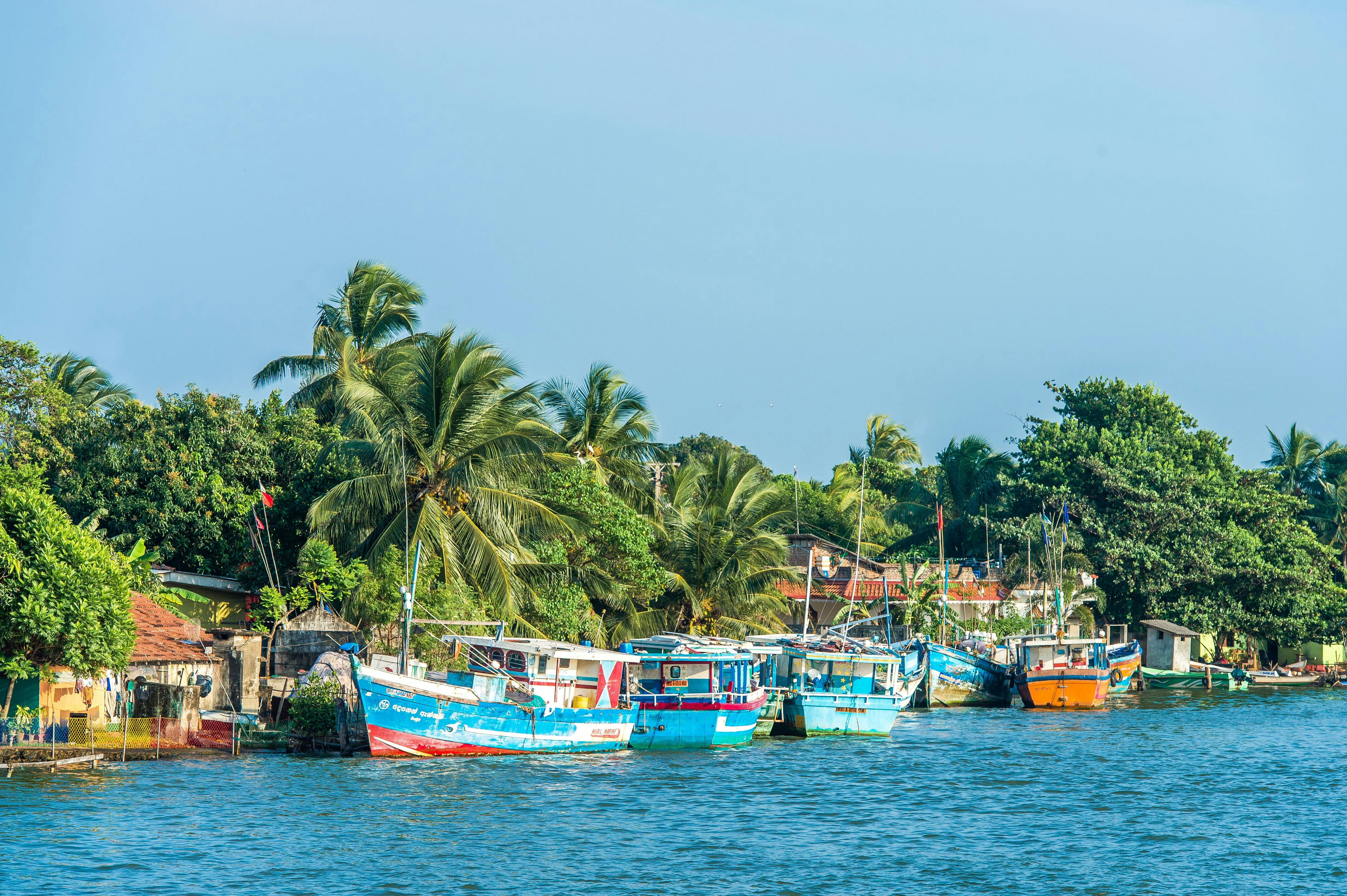 Visite en bateau sur le canal néerlandais de Negombo