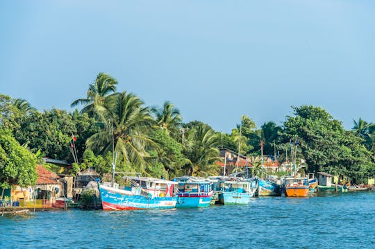 Visite en bateau sur le canal néerlandais de Negombo