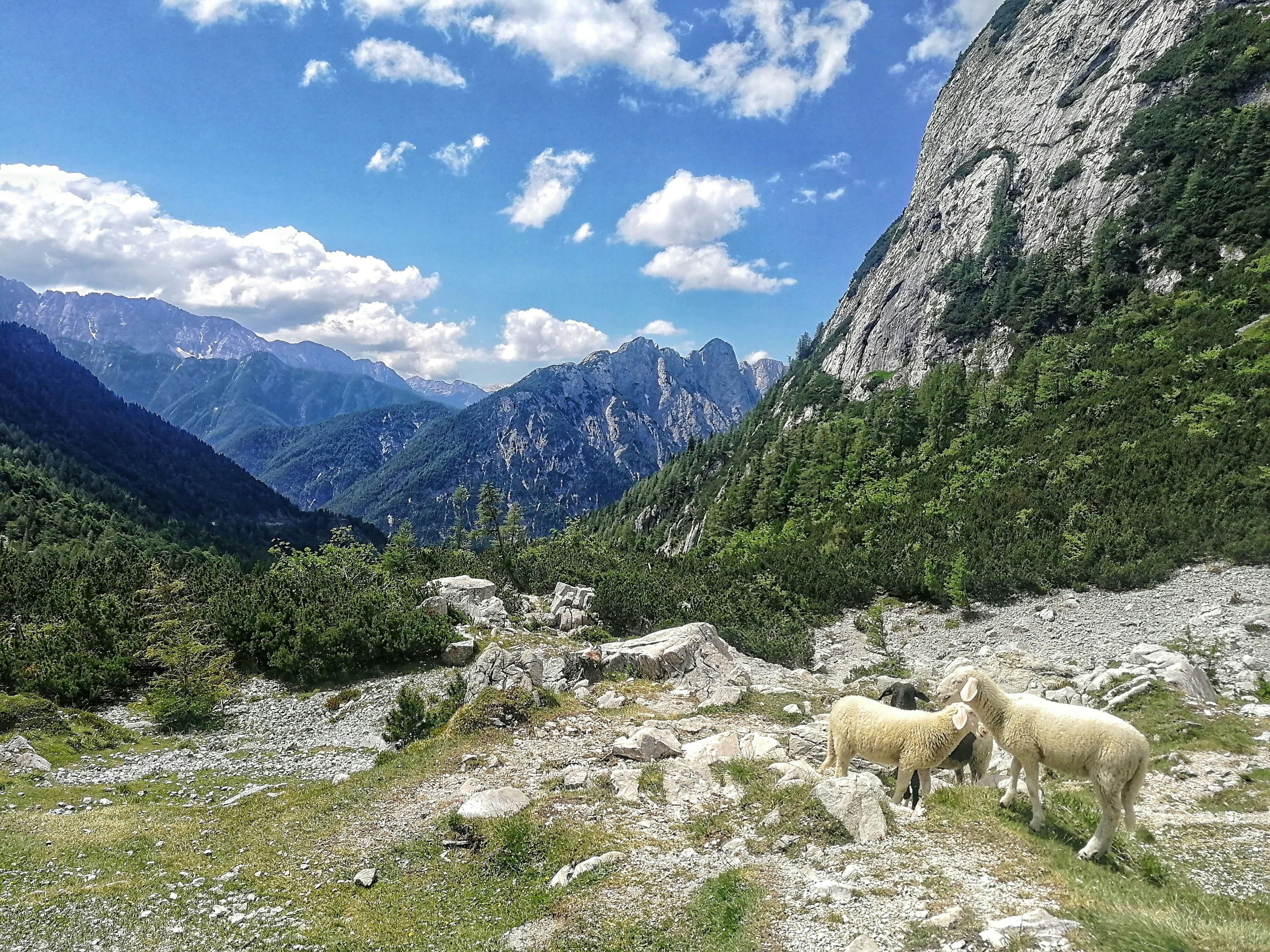 Tour delle Alpi Giulie