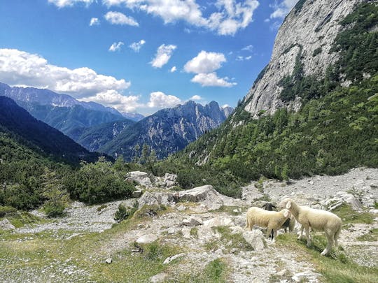 Tour delle Alpi Giulie