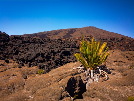 Wycieczka piesza po wulkanie na wyspie Reunion