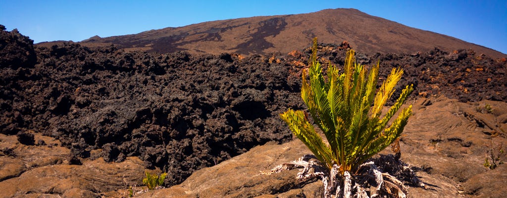 Vulkaanwandeling op het eiland Réunion