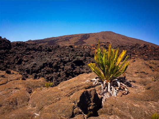 Reunion island volcano hiking tour