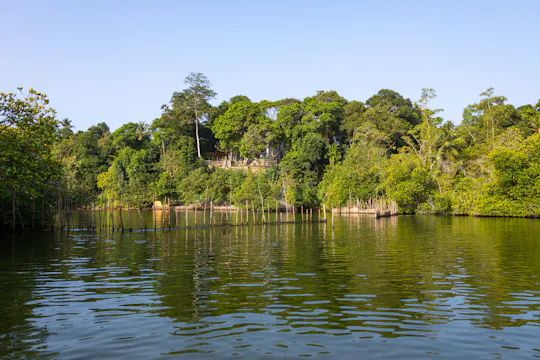 Safari en bateau à Madampe Ganga