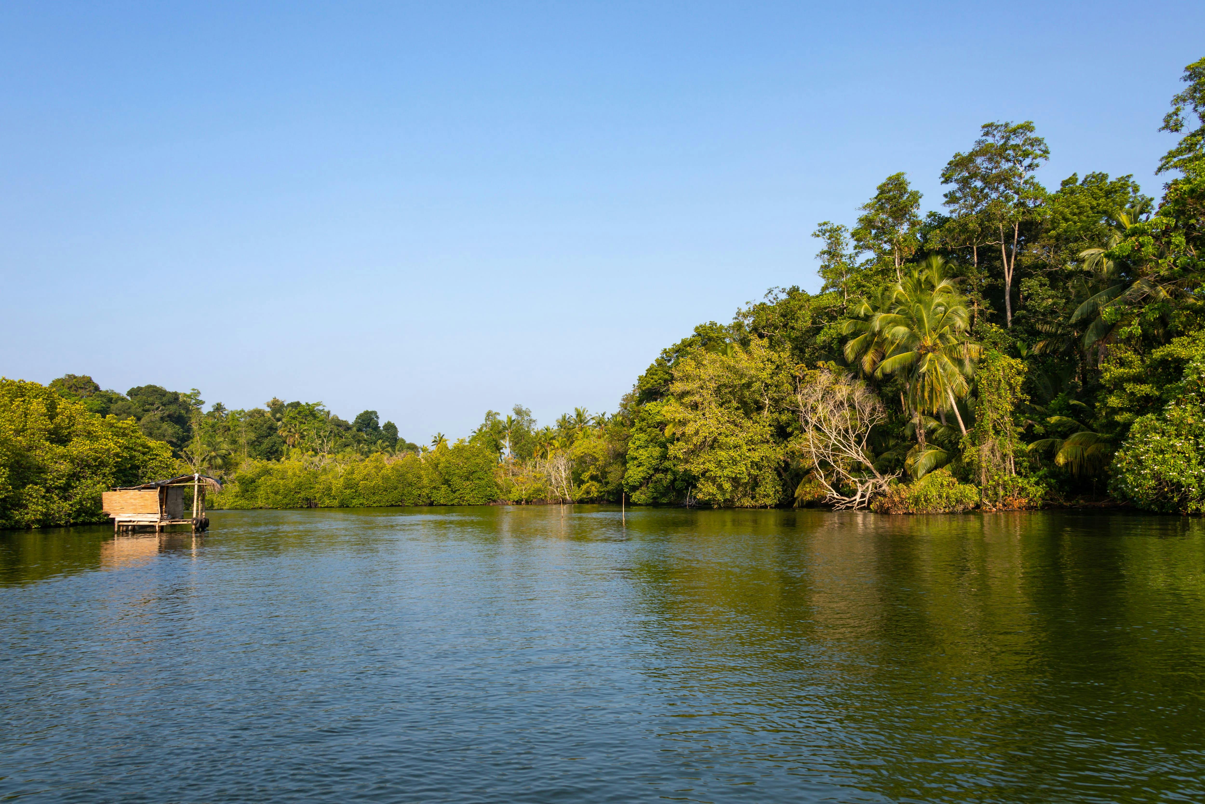 River Madu Nature Safari