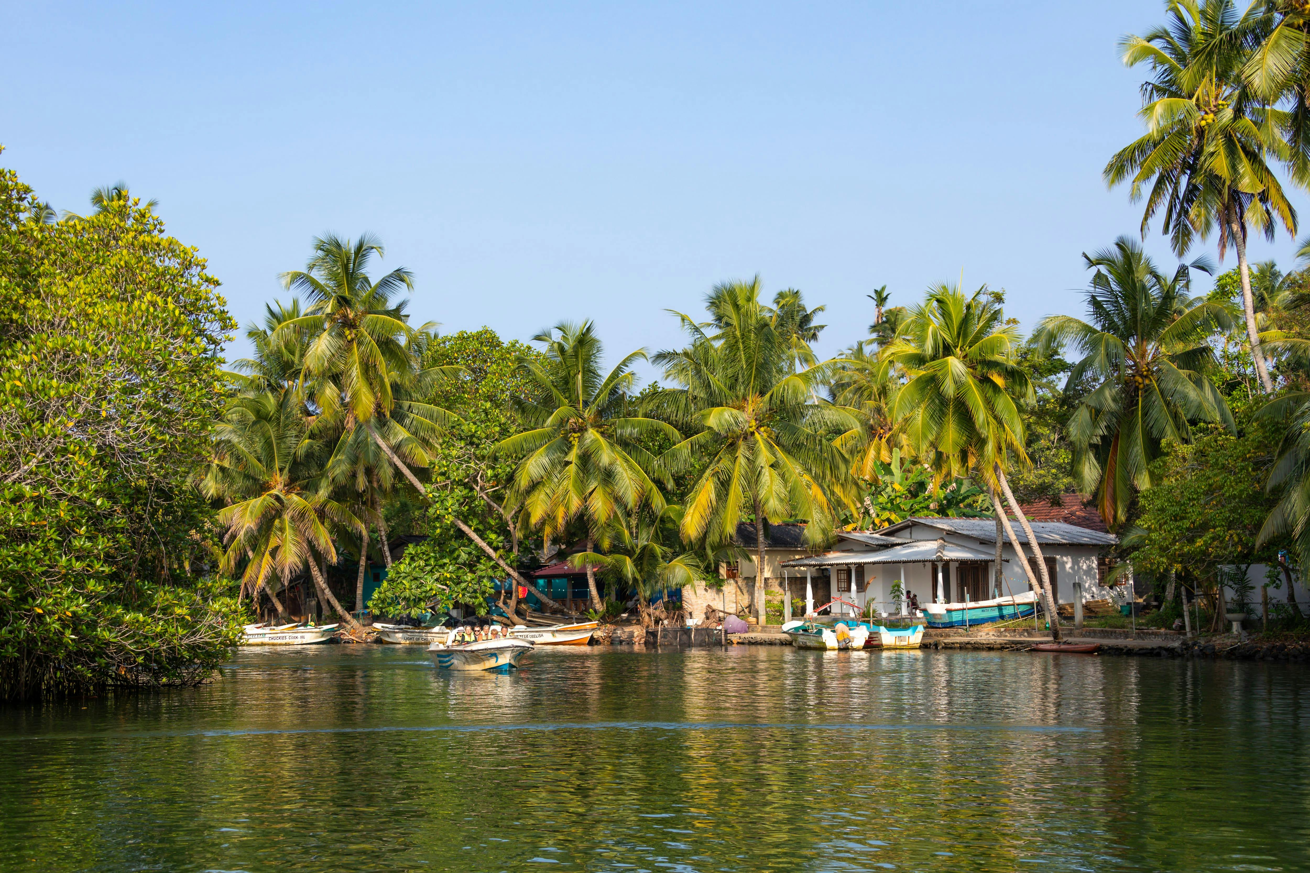 River Madu Nature Safari