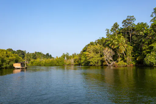 River Madu Nature Safari