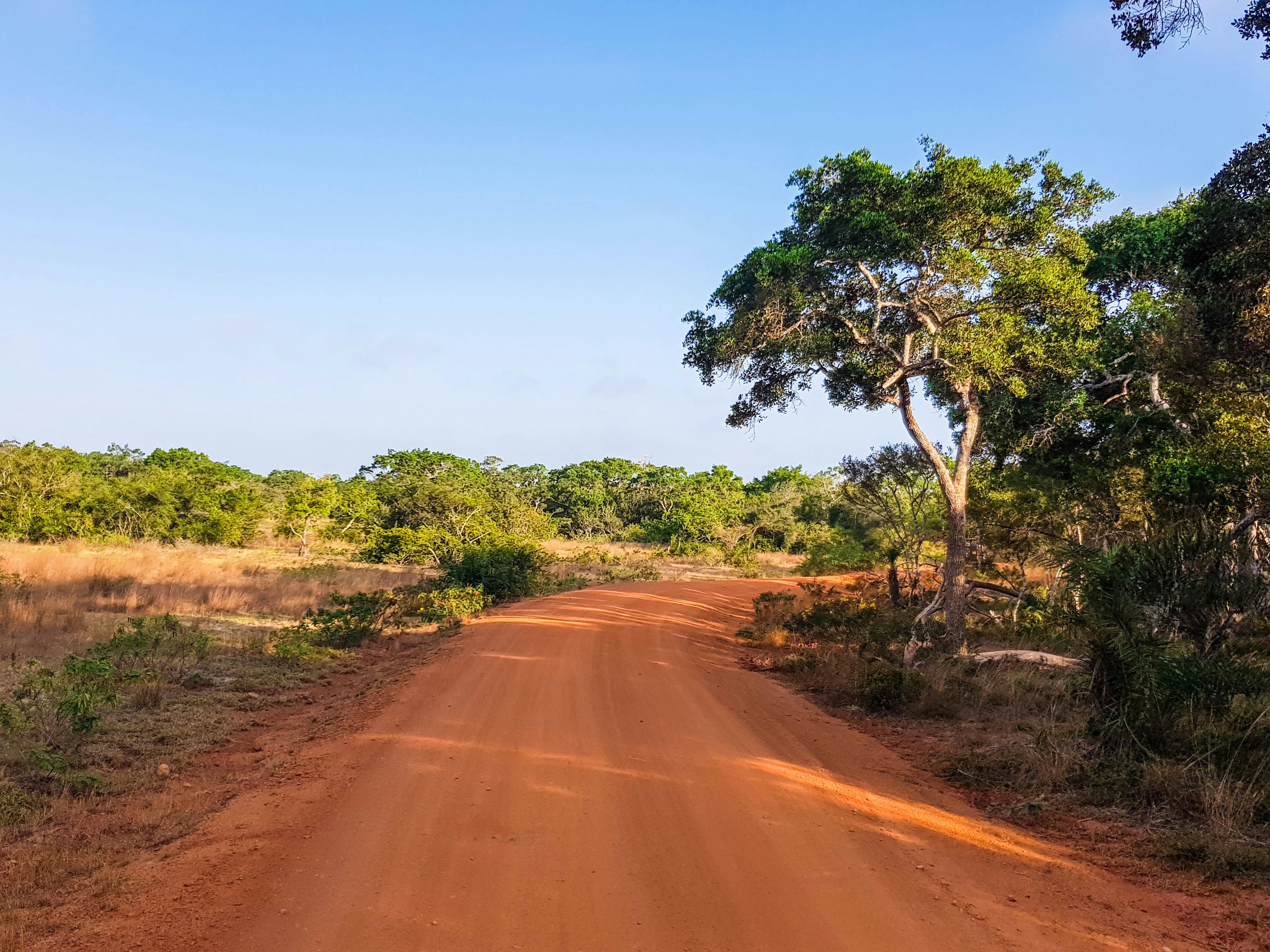 Wilpattu National Park Lakes and Wildlife Safari