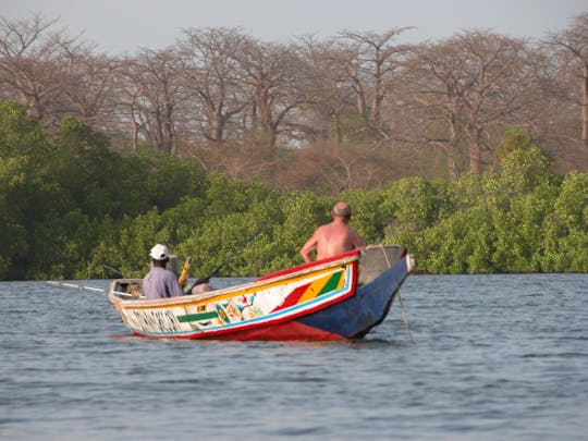 Ganztägige Safari im Senegal mit Saloum-Delta-Kreuzfahrt ab Pointe Sarène