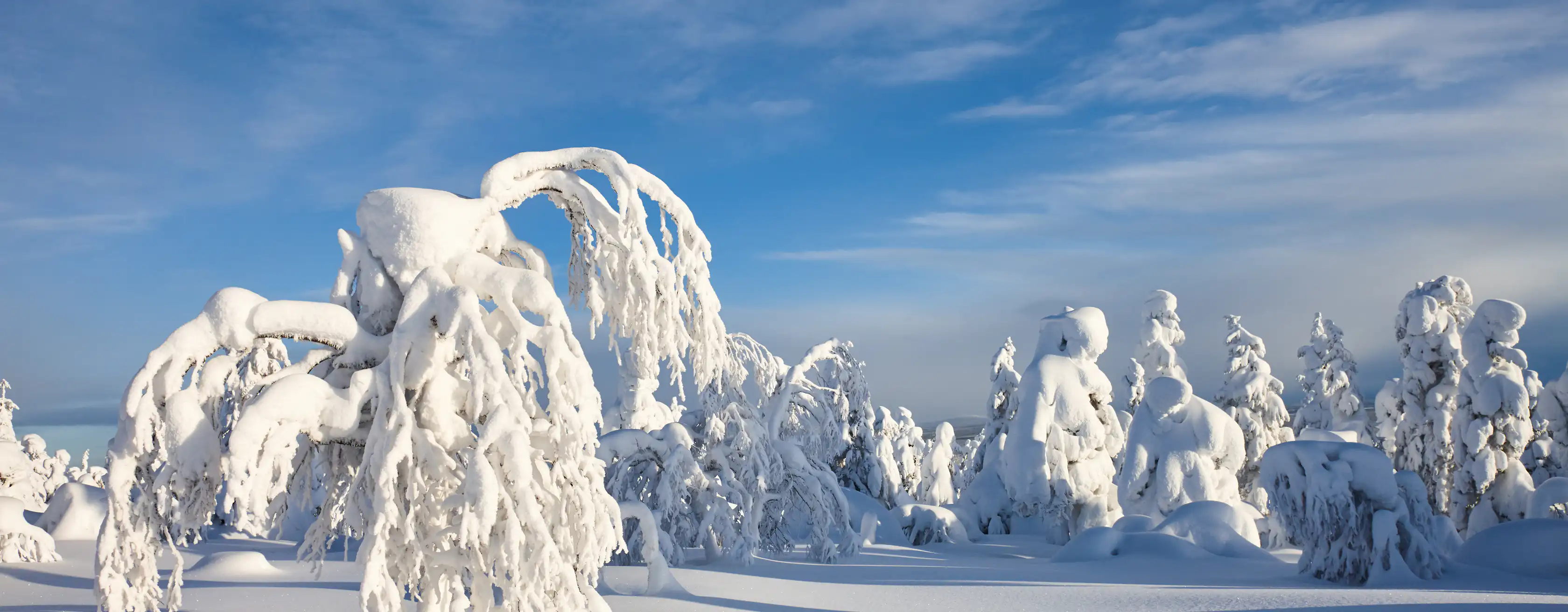 Coisas para fazer em Luosto Lapland