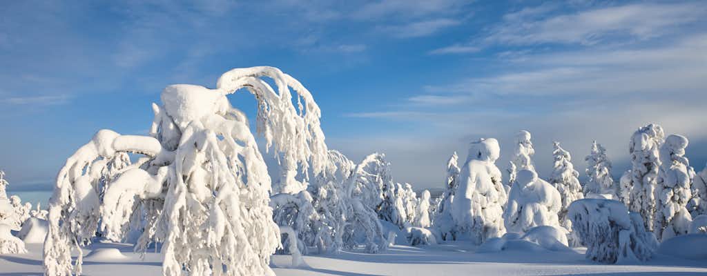 Luosto Lapland tickets and tours