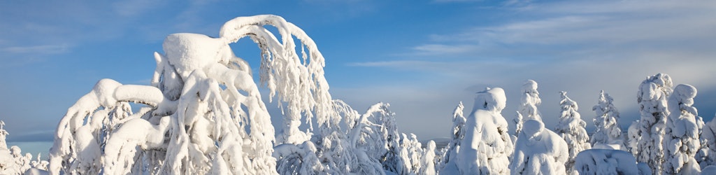 Things to do in Luosto Lapland