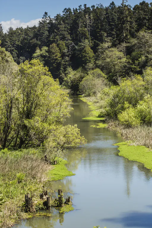 fareharbor-skunktrain|122325-229561