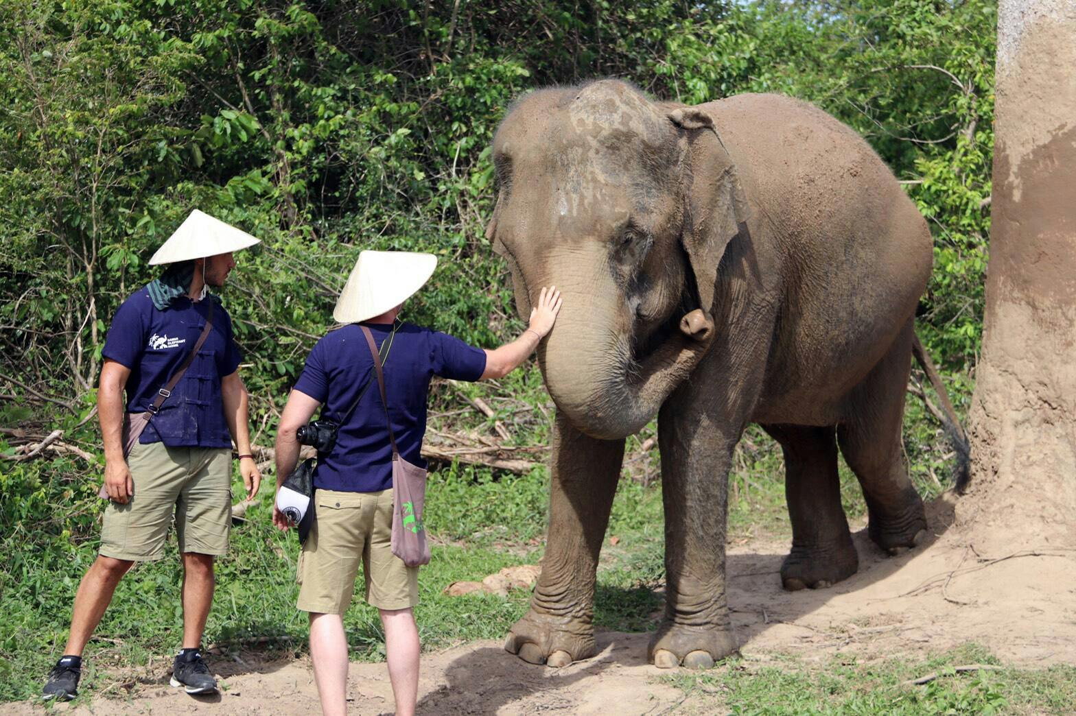 Koh Samui Elephant Experience