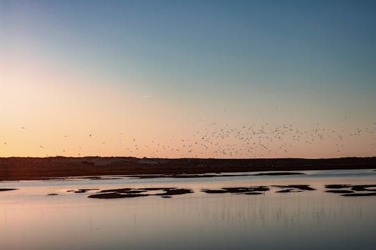 Ria Formosa at sunset boat tour
