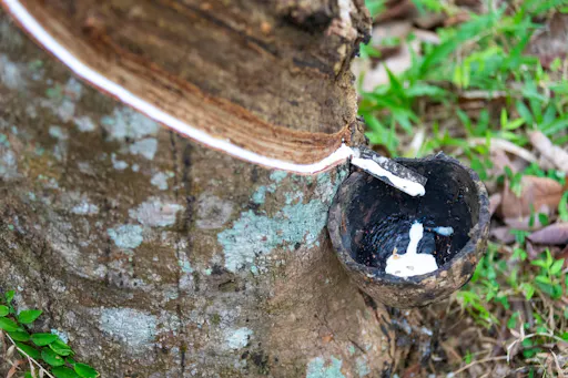 Koh Samui Cycling Tour