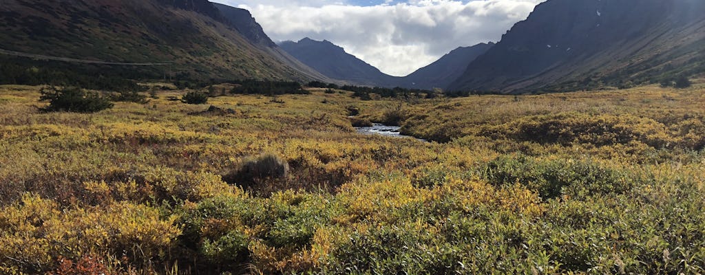 Flora and fauna nature walk in the Glen Alps