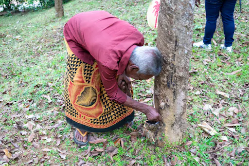 Koh Samui Cycling Tour