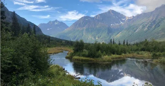 Letnia wędrówka po dolinie i lesie w Parku Stanowym Chugach