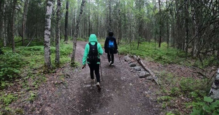 Chugach State Park summer valley and forest hike