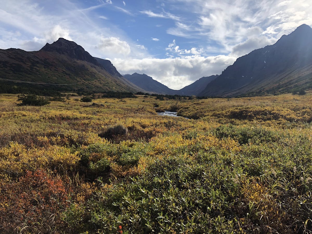 fareharbor-gohikealaska|204108-665789