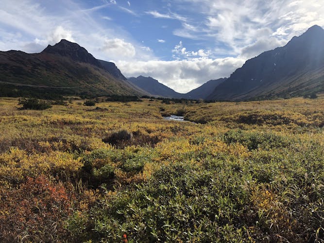 Flora and fauna nature walk in the Glen Alps