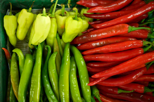 Koh Samui Cycling Tour