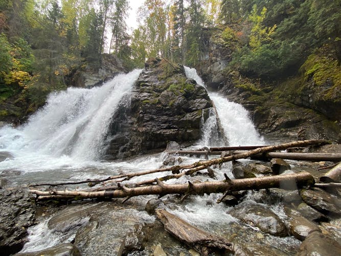 Chugach State Park summer valley and forest hike