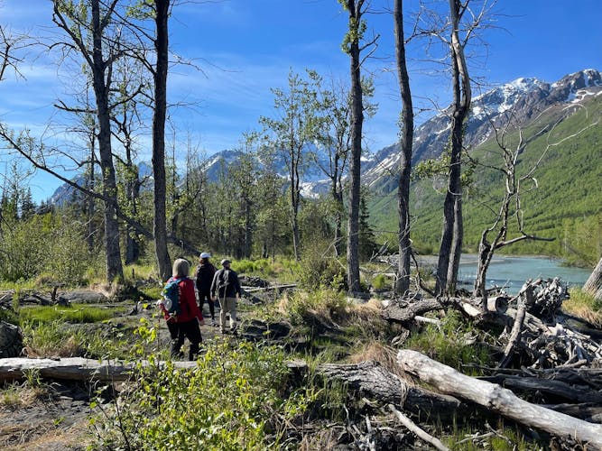 Chugach State Park summer valley and forest hike